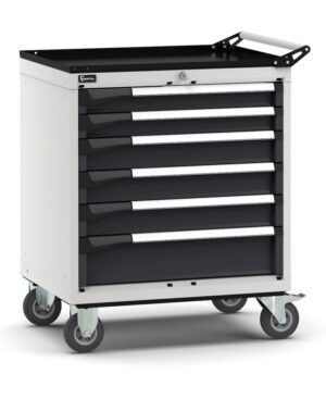 Armadio con ruote con 6 cassetti 2x75 3x100 1x150