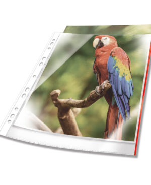 Buste perforate PREMIUM con bordo colorato 25 pz., rosso