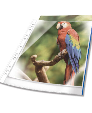 Buste perforate PREMIUM con bordo colorato 10 pz., azzurro